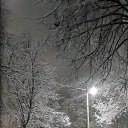 ���� �������, ������, 54 ���� - ��������� 15 ������ 2024 � ������ ���� ����������