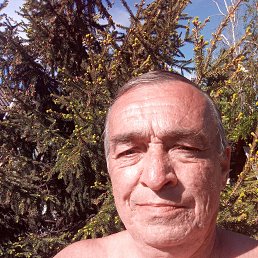 , 49 , 