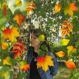 �������, ����������, 49 ���