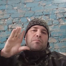 ������, ������, 33 ����