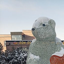 ����, ����, 49 ���