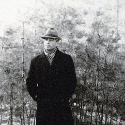 �����, 40 ���, ���������