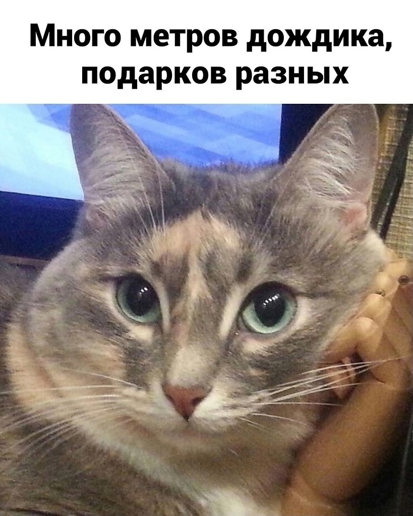       - 4  2025  11:03 - 3