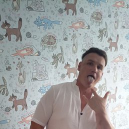 , 37, 