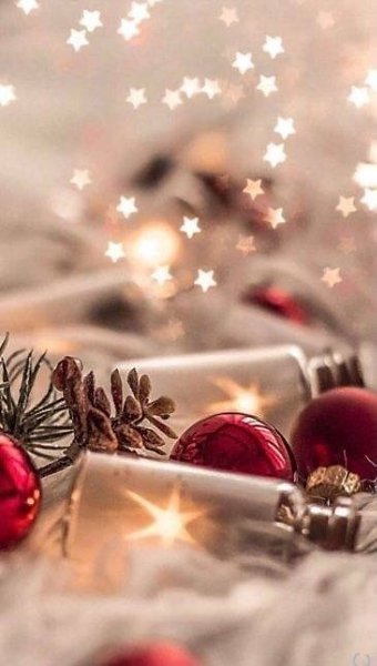 ������� ������ ������ - 11 ������ 2024 � 06:46