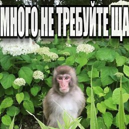 ��������, �������, 22 ����