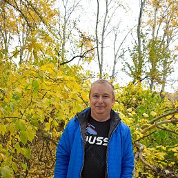 �������, 38 ���, ��������