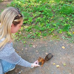 ���������, �����, 31 ���