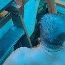 ���� �������, ��������, 38 ��� - ��������� 21 ������� 2025