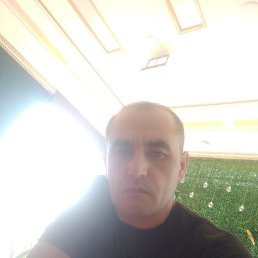 ����������, ������, 41 ���