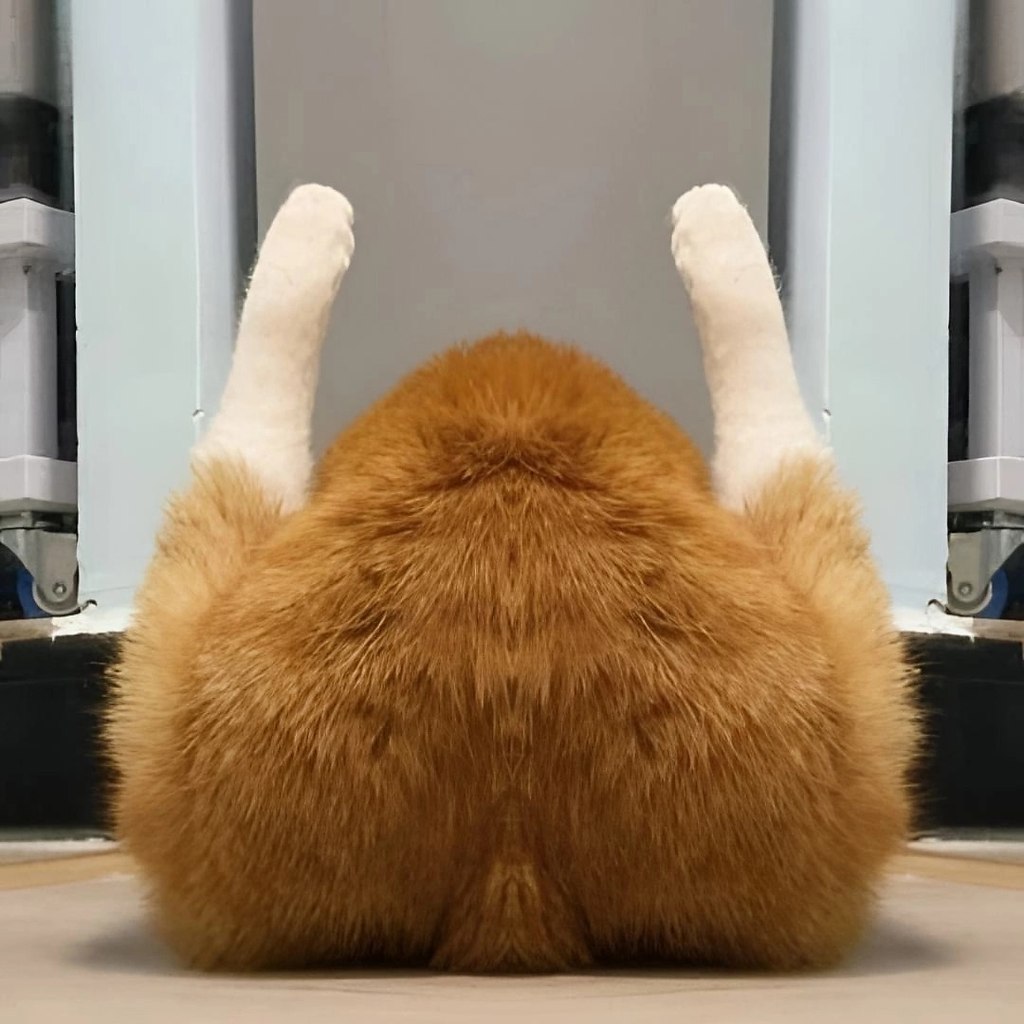   - 10