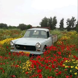 ���� ����, ������, 45 ��� - ��������� 26 ������� 2025