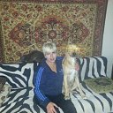 ���� ����, ����, 60 ��� - ��������� 2 �������� 2025 � ������ ���� ����������