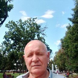 , 65 ,  