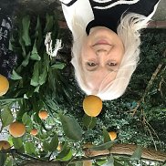 �����, 52 ����, ������