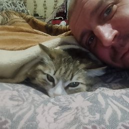 ������, ������ �����, 43 ����