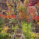 ���� �����, ������, 52 ���� - ��������� 12 ������ 2025 � ������ ������ ��������