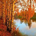 ���� �����, ������������ - ��������� 4 ������� 2023 � ������ ������ ��������