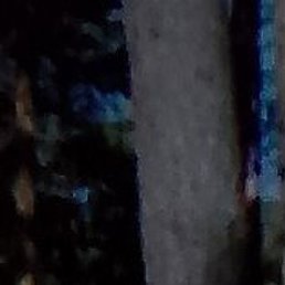 ������, ����, 67 ���