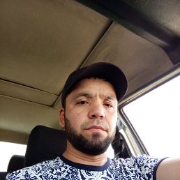 ���� ����, �����-���������, 37 ��� - ��������� 26 ������� 2026