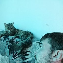 ���������, ���������, 31 ���