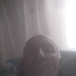 , 40, 