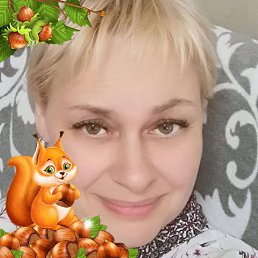 ���� �����, �����, 54 ���� - ��������� 1 ������ 2026