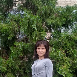 , 33, 