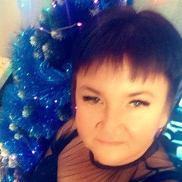 , 41 , -