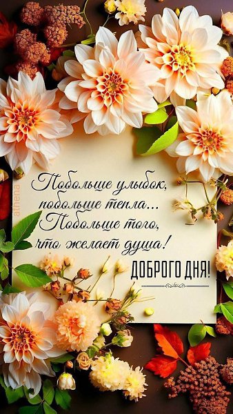   ,    . - 19  2025  16:38 - 4