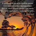 ���� �����, �����������, 53 ���� - ��������� 16 ������ 2024 � ������ ���� ����������