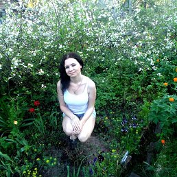 ����������, �����-���������, 34 ����