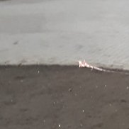 ������, 63 ����, ������