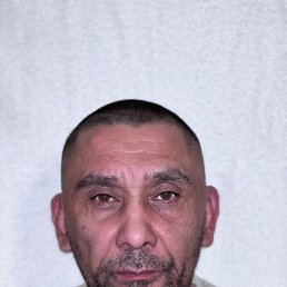 ������, 51 ���, ����