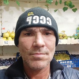 ���������, �������, 48 ���