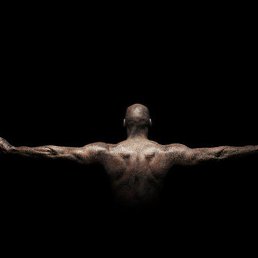 �����, ������, 37 ���