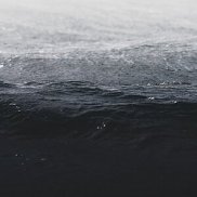 ����, 37 ���, �����-���������