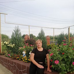 �������, ������������, 51 ���