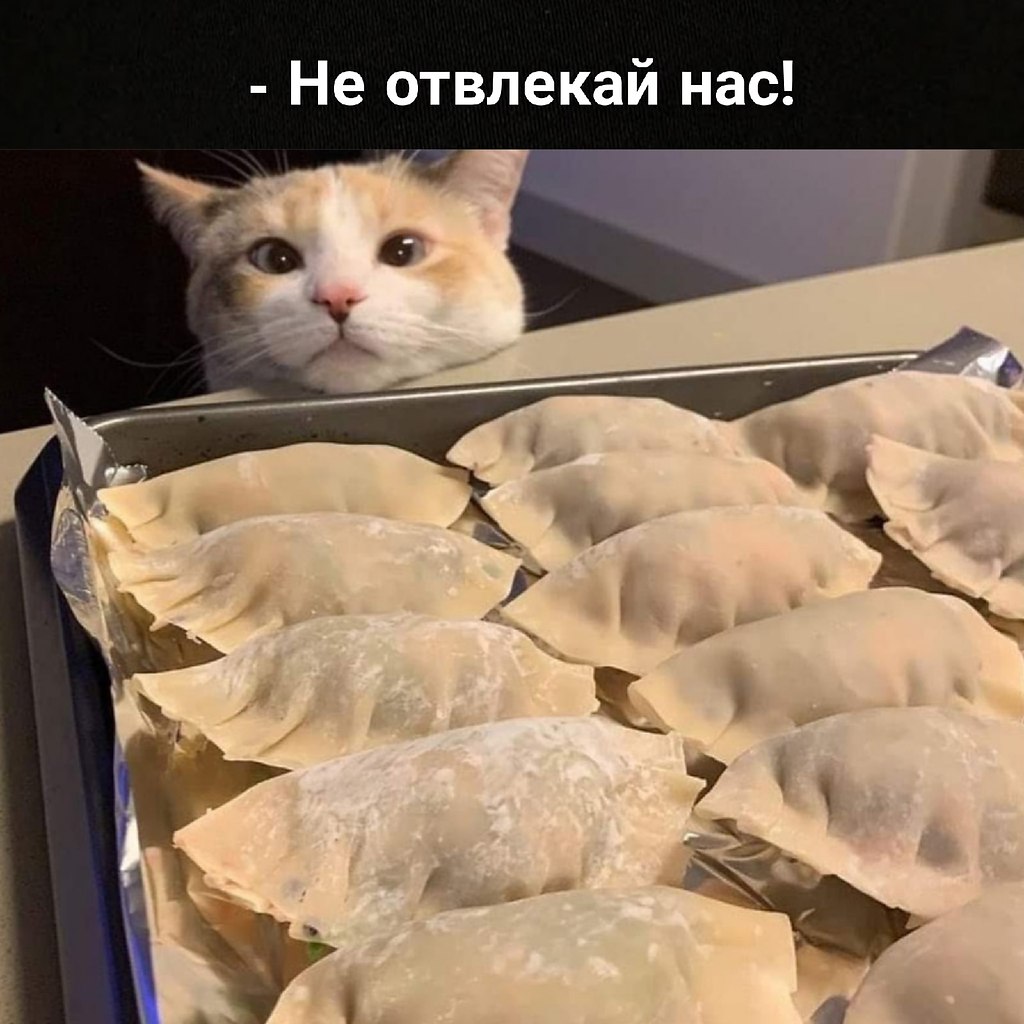       - 25  2025  17:06 - 3