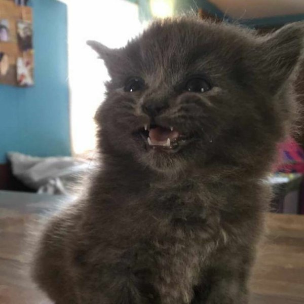     :3 - 4