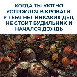 ���� ����, ���������, 38 ��� - ��������� 5 ������ 2026