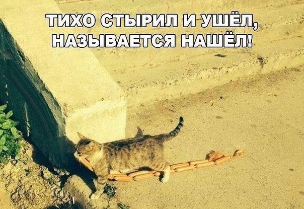    - 9  2024  02:43