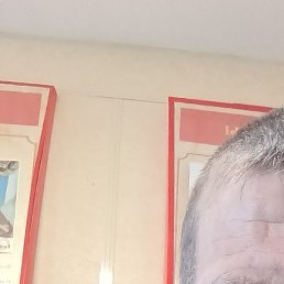 ���������, ��������, 45 ���