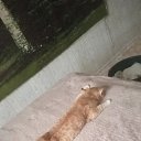 ���� �������, ������, 39 ��� - ��������� 15 ������ 2023 � ������ ���� ����������