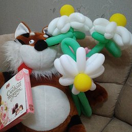 ���� �@�@, �����, 66 ��� - ��������� 28 ������ 2024