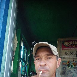 ���� � ������� ������, �����������, 40 ��� - ��������� 24 ���� 2024