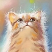 ����, 36 ���, ������