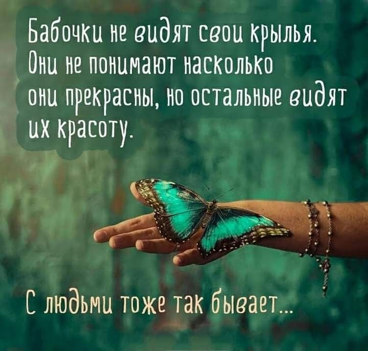 �������� ������ - 4 ���� 2026 � 16:20