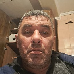 ����, ���������, 44 ����