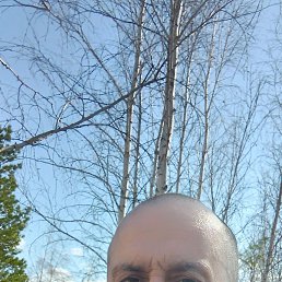  , 49 , 